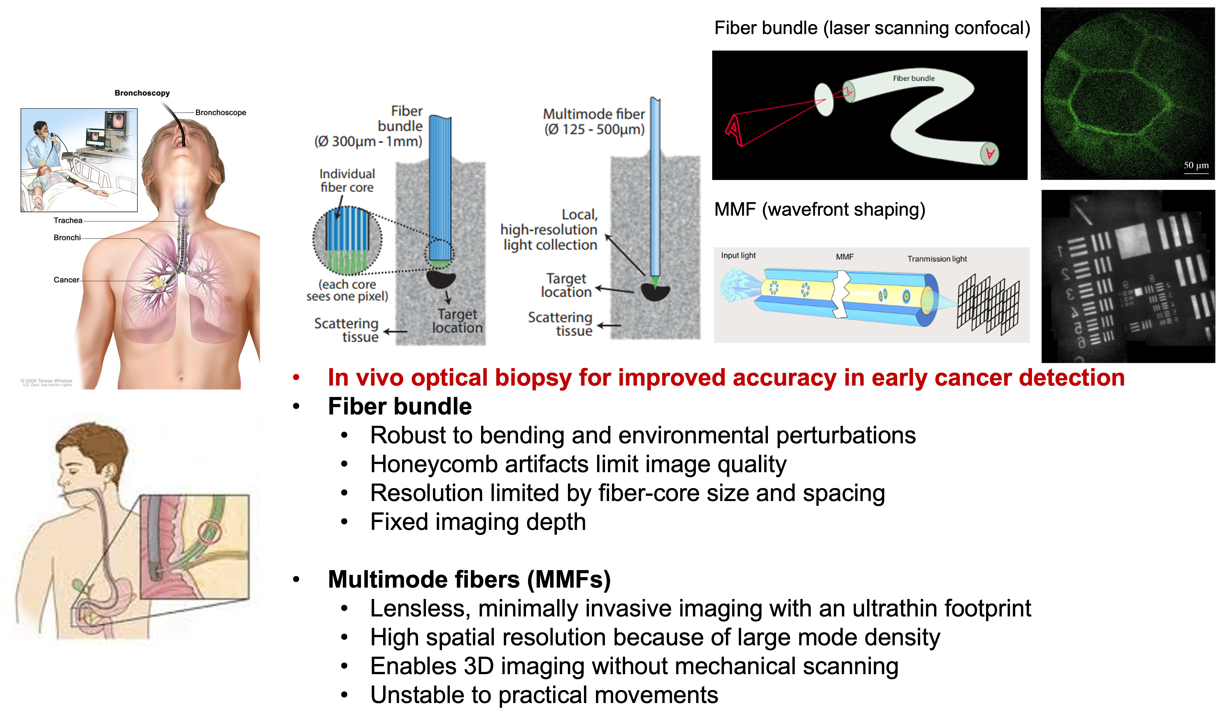 Comparison between fiber bundles and MMF